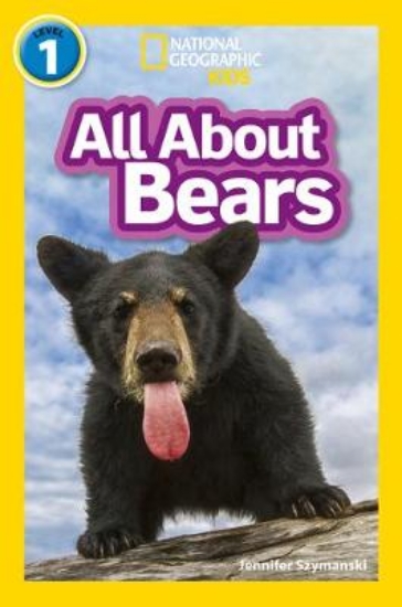 Picture of All About Bears