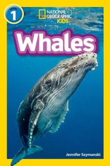 Picture of Whales