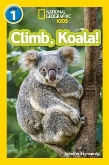 Picture of Climb, Koala!