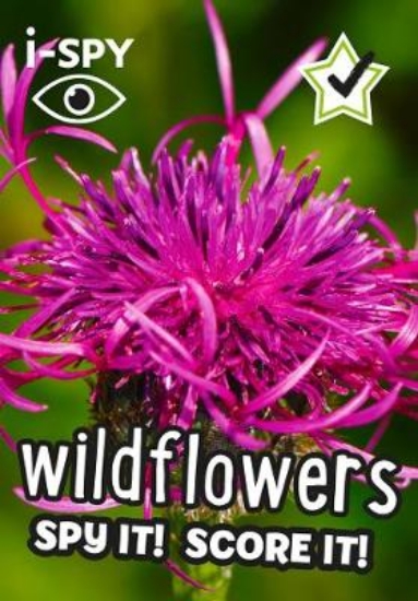 Picture of i-SPY Wildflowers
