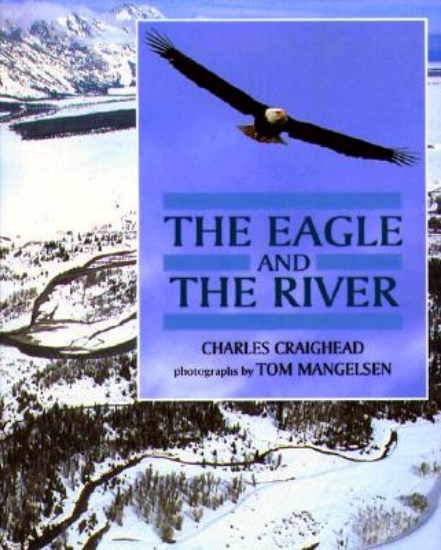 Picture of The Eagle and the River