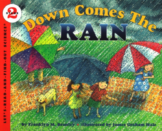 Picture of Down Comes the Rain