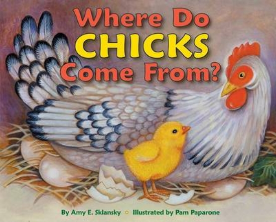 Picture of From Egg to Chick