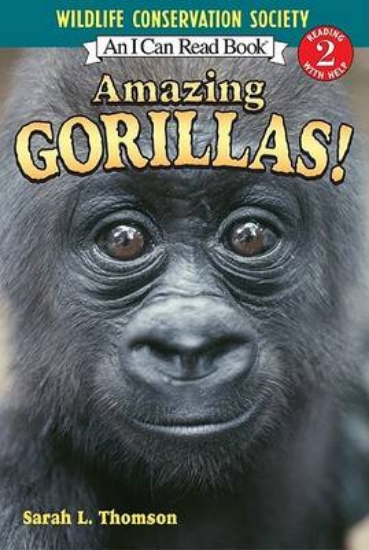 Picture of Amazing Gorillas!