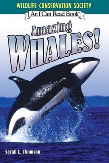 Picture of Amazing Whales!