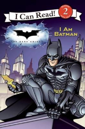 Picture of The Dark Knight