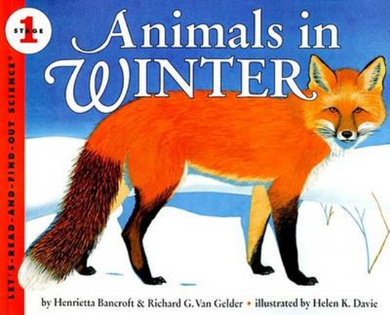 Picture of Animals in Winter