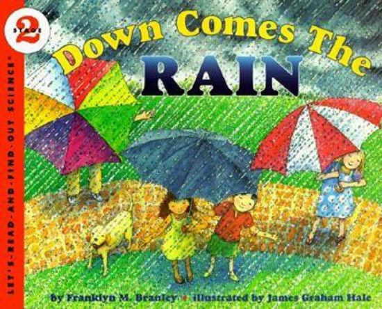 Picture of Down Comes the Rain