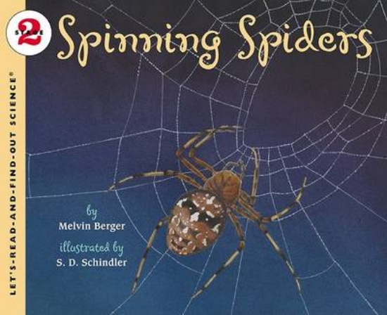 Picture of Spinning Spiders