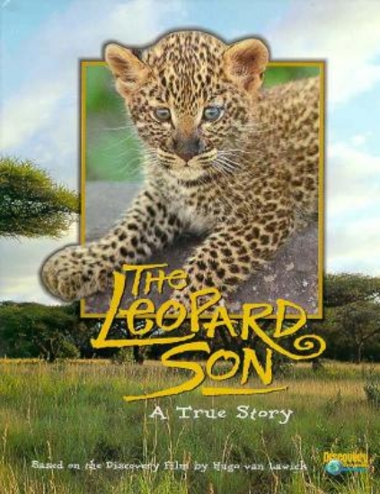 Picture of Leopard Son