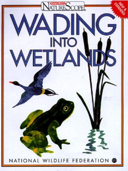 Picture of Wading into Wetlands