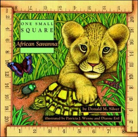 Picture of African Savanna