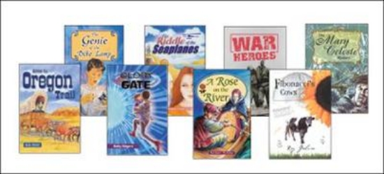 Picture of KR Reinforcement Book Band Magenta Single Copy Set