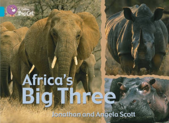 Picture of Africa's Big Three Workbook