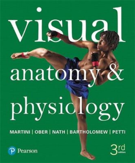 Picture of Visual Anatomy &amp; Physiology