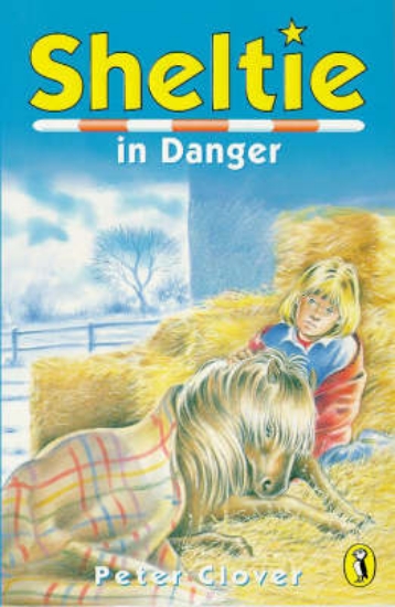 Picture of Sheltie in Danger