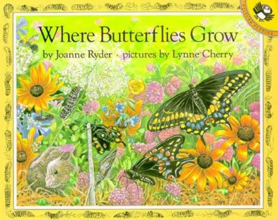 Picture of Where Butterflies Grow