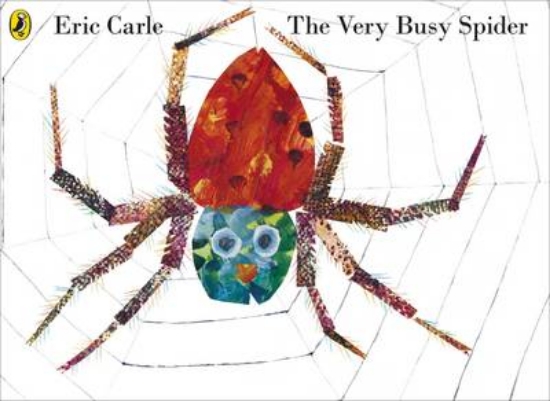 Picture of Very Busy Spider