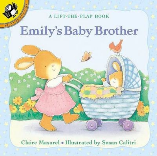 Picture of Emily's Baby Brother: A Lift T