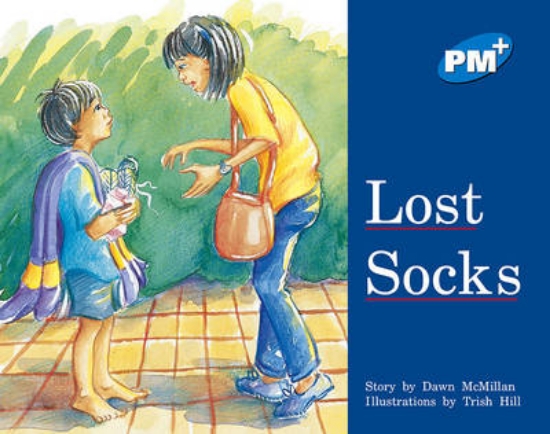 Picture of Lost Socks