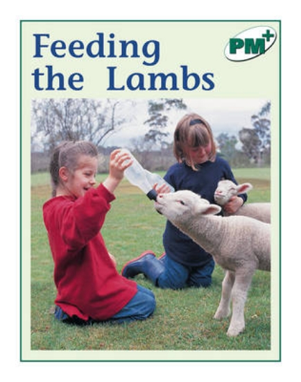 Picture of Feeding the Lambs