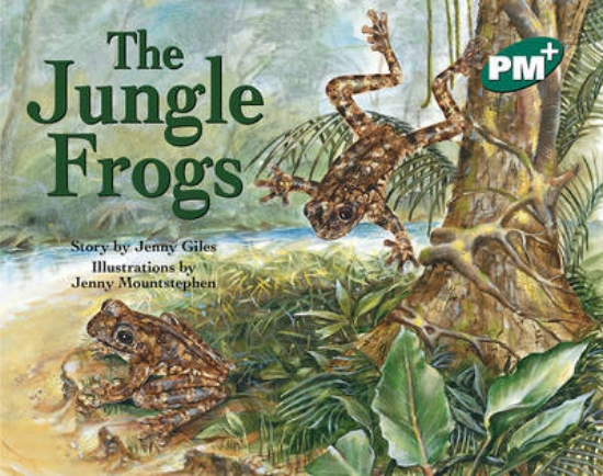 Picture of The Jungle Frogs