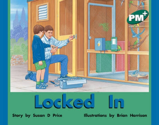 Picture of Locked In
