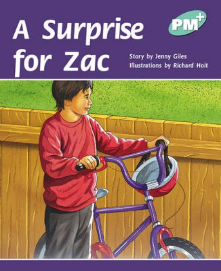 Picture of A Surprise for Zac
