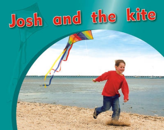 Picture of Josh and the kite