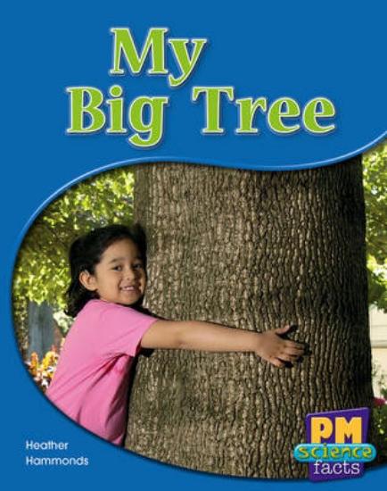 Picture of My Big Tree