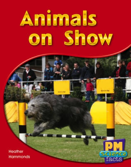 Picture of Animals on Show