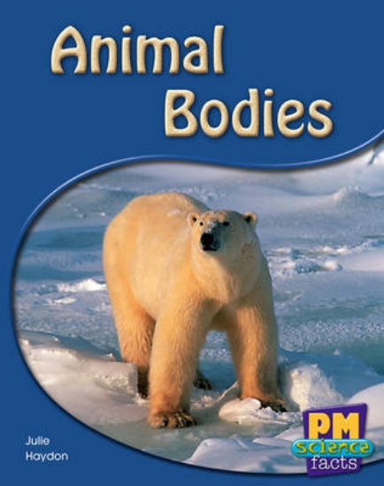 Picture of Animal Bodies