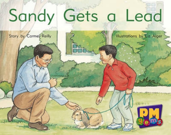 Picture of Sandy Gets a Lead