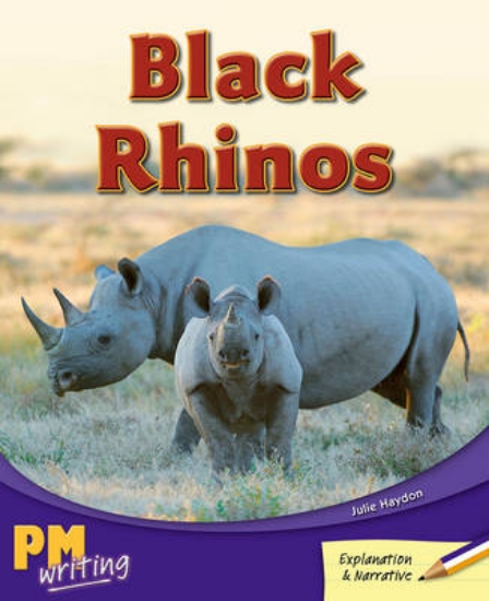 Picture of Black Rhinos
