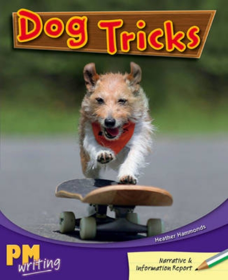 Picture of Dog Tricks