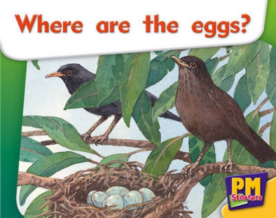 Picture of Where are the eggs?