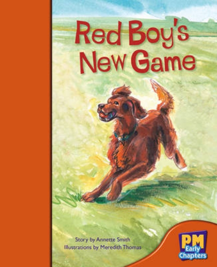 Picture of Red Boy's New Game