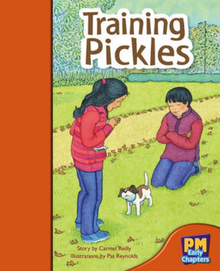 Picture of Training Pickles