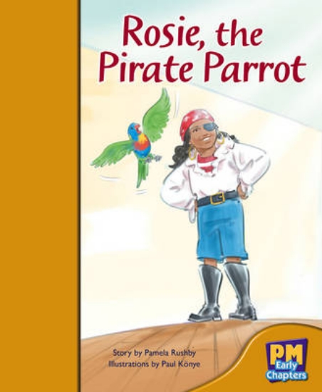 Picture of Rosie, the Pirate Parrot