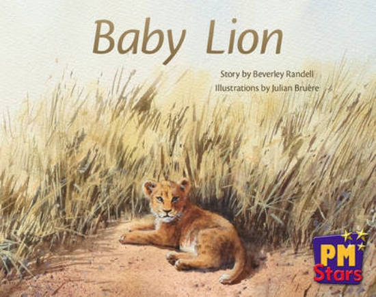 Picture of Baby Lion