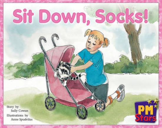 Picture of Sit Down, Socks!