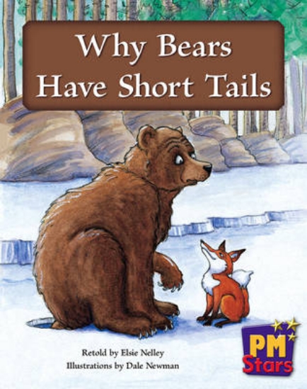 Picture of Why Bears Have Short Tails