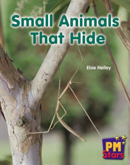 Picture of Small Animals That Hide