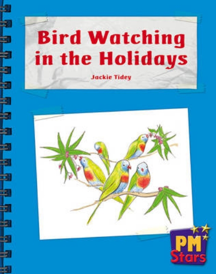 Picture of Bird Watching in the Holidays