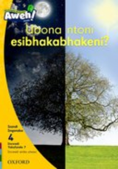 Picture of Ubona ntoni esibhakabhakeni?