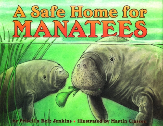 Picture of A Safe Home for Manatees