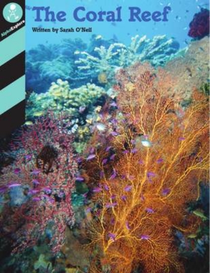 Picture of Alpha Explore - The Coral Reef
