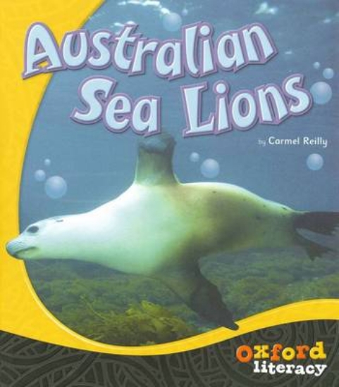 Picture of Oxford Literacy Australian Sea Lions