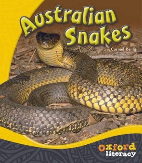 Picture of Oxford Literacy Australian Snakes Pack of 6