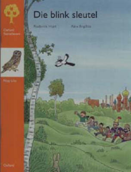 Picture of Die blink sleutel